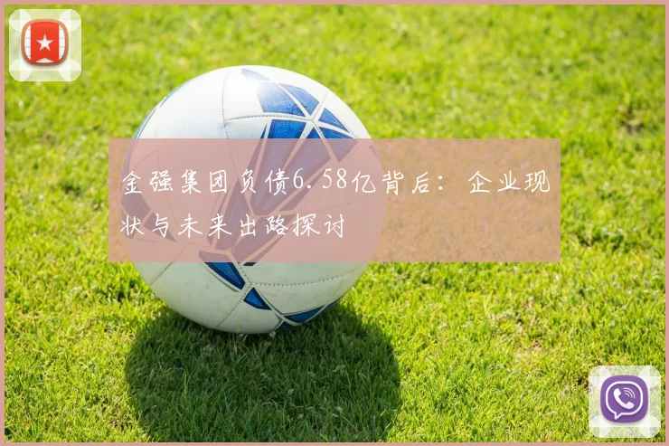 金强集团负债6.58亿背后：企业现状与未来出路探讨