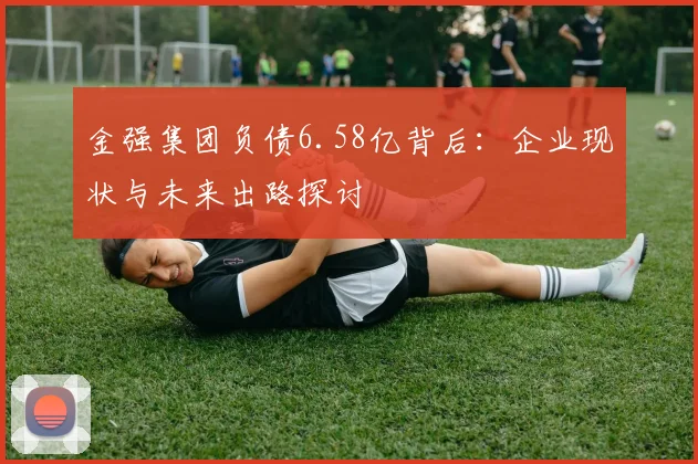 金强集团负债6.58亿背后：企业现状与未来出路探讨